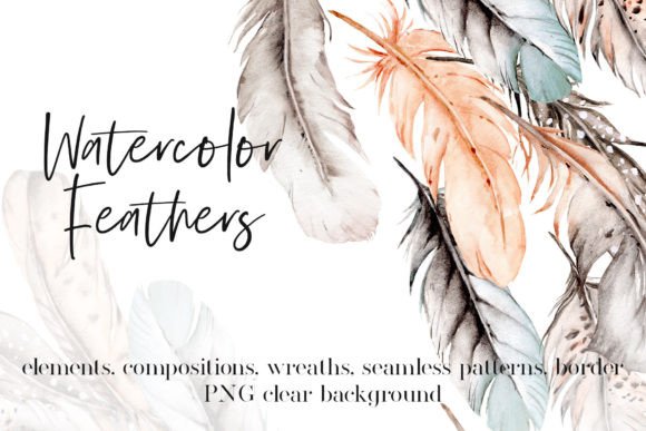 Feathers, Watercolor Hand Drawing