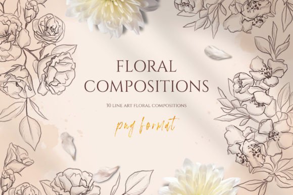Floral Line Art Compositions